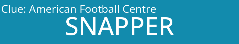American Football Centre
