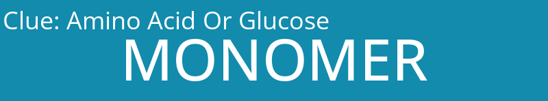 Amino Acid Or Glucose