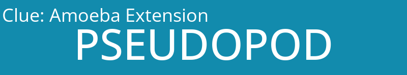 Amoeba Extension