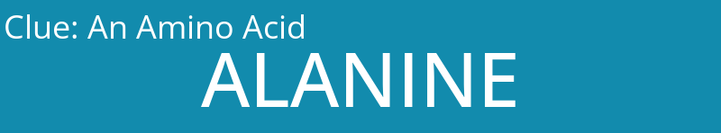 An Amino Acid