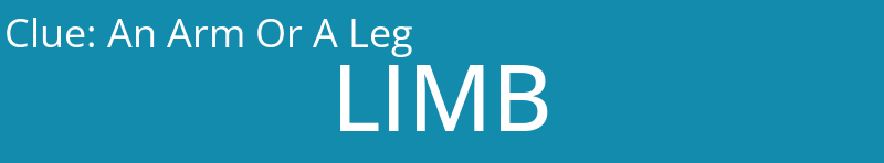 An Arm Or A Leg