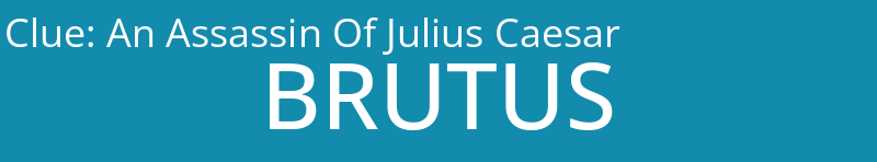 An Assassin Of Julius Caesar