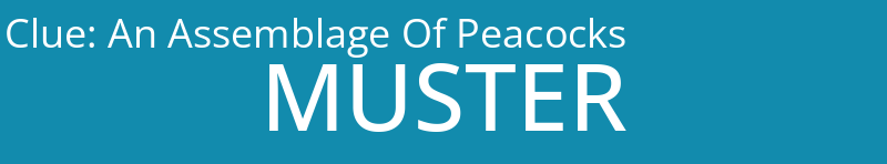 An Assemblage Of Peacocks