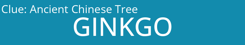 Ancient Chinese Tree