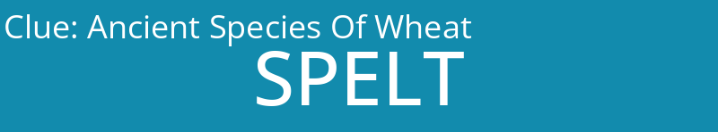 Ancient Species Of Wheat
