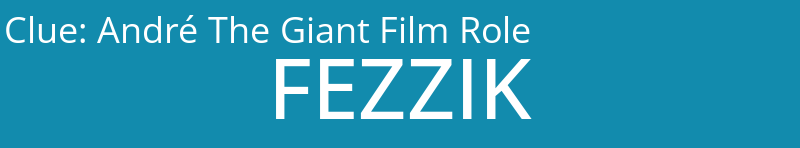 André The Giant Film Role