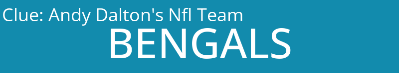Andy Dalton's Nfl Team
