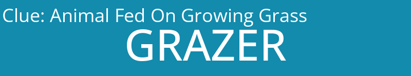 Animal Fed On Growing Grass