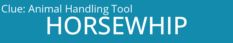 Animal Handling Tool