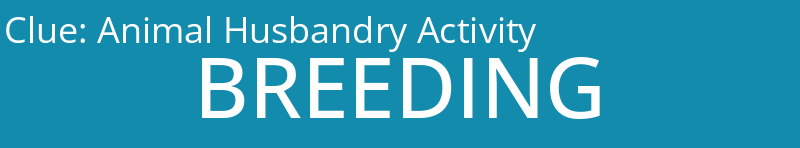 Animal Husbandry Activity