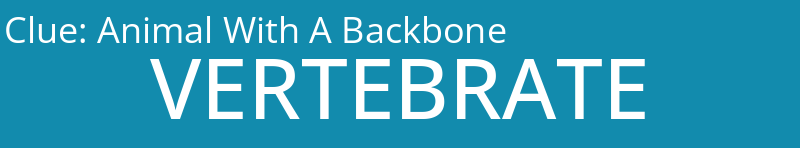 Animal With A Backbone