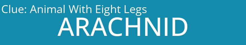 Animal With Eight Legs