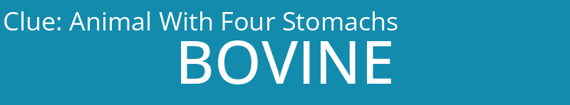 Animal With Four Stomachs