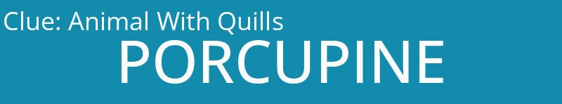 Animal With Quills