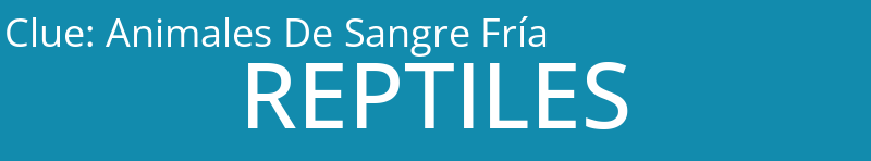 Animales De Sangre Fría