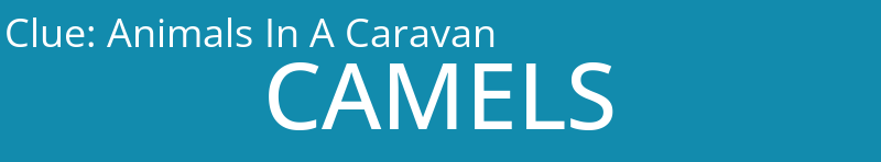 Animals In A Caravan