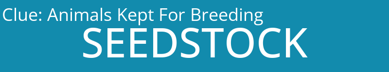 Animals Kept For Breeding