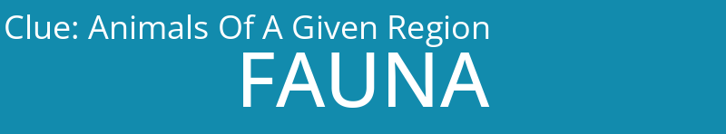 Animals Of A Given Region