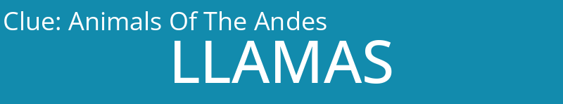 Animals Of The Andes