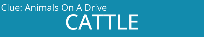 Animals On A Drive