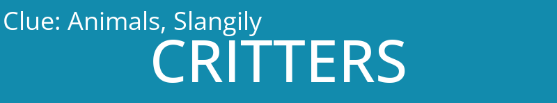 Animals, Slangily