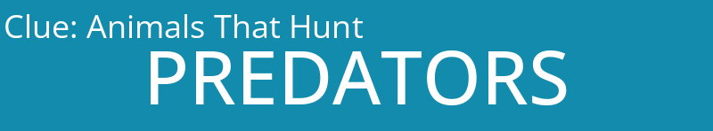 Animals That Hunt