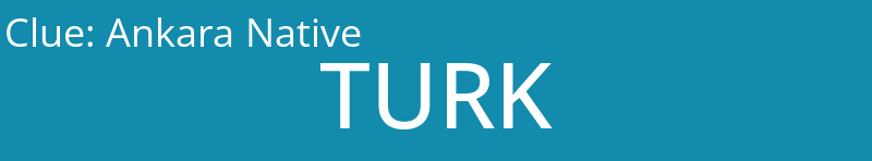 Ankara Native