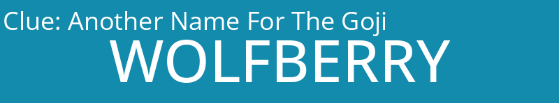 Another Name For The Goji