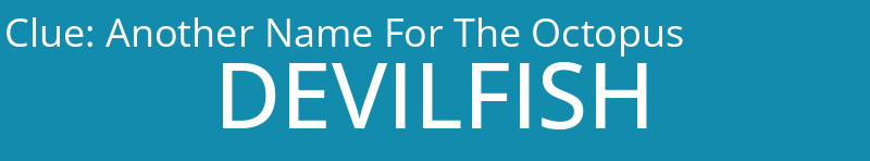 Another Name For The Octopus