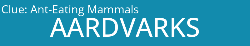 Ant-Eating Mammals