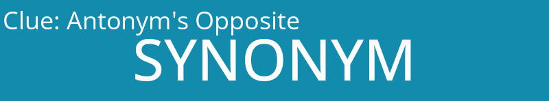 Antonym's Opposite
