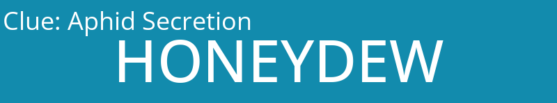 Aphid Secretion