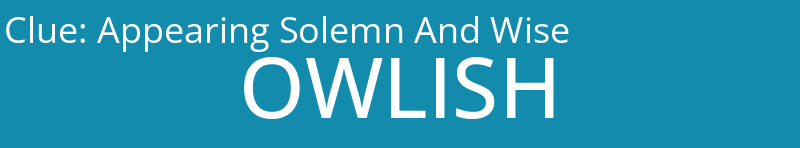 Appearing Solemn And Wise