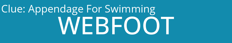 Appendage For Swimming