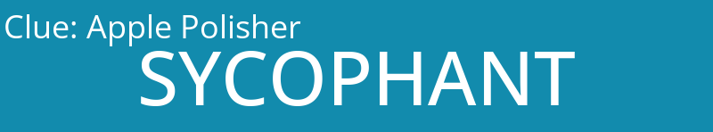 Apple Polisher