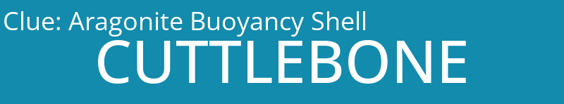 Aragonite Buoyancy Shell
