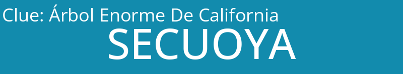 Árbol Enorme De California