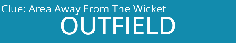 Area Away From The Wicket