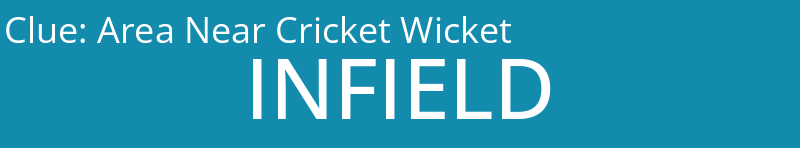 Area Near Cricket Wicket