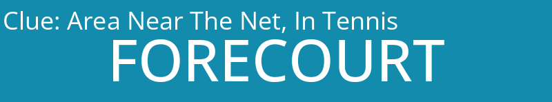 Area Near The Net, In Tennis