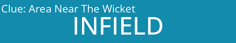 Area Near The Wicket