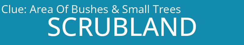 Area Of Bushes & Small Trees