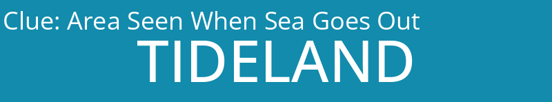 Area Seen When Sea Goes Out