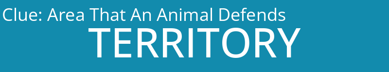 Area That An Animal Defends