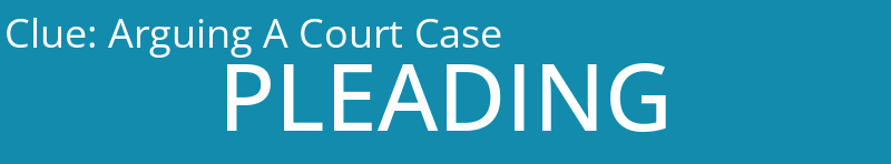 Arguing A Court Case