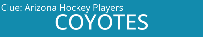 Arizona Hockey Players