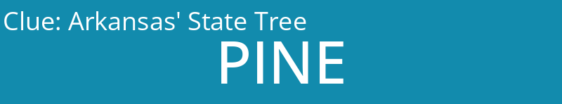 Arkansas' State Tree