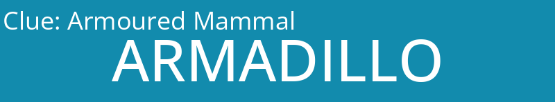 Armoured Mammal