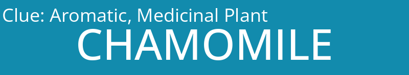 Aromatic, Medicinal Plant