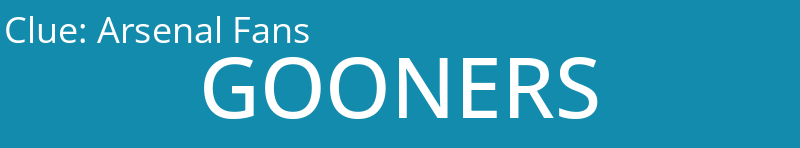 Arsenal Fans
